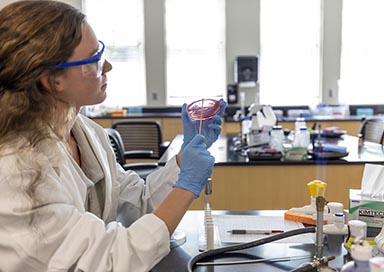Biochem student working with gel matter in lab