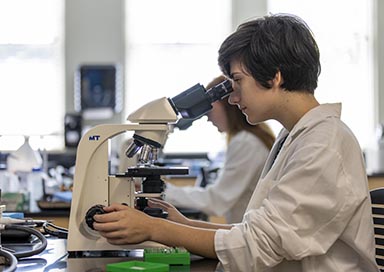 Student looking through microscope