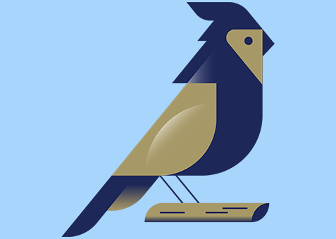 Cardinal bird illustration