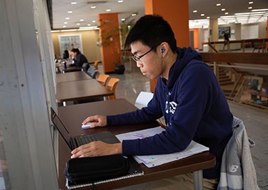 Student studying in library