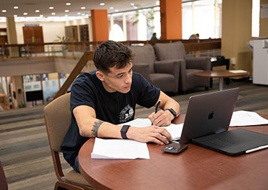 Student studying in library