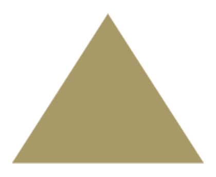 Triangle icon