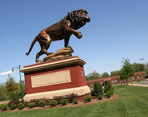 Sports Complex and Rex in foreground