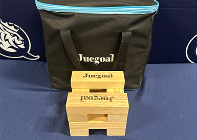 Jenga kit