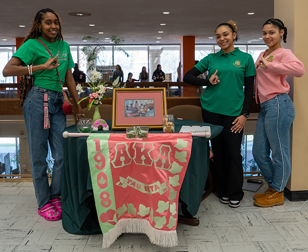 Alpha Kappa Alpha sisters