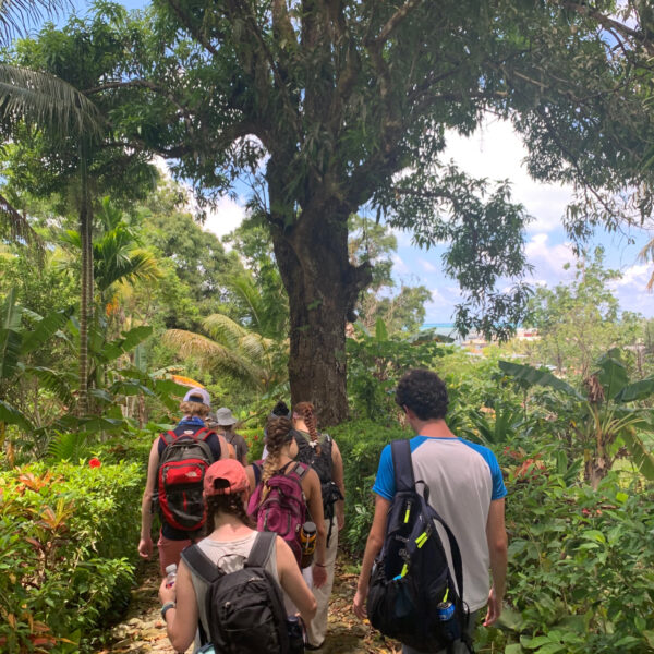 Students walking through the jungle