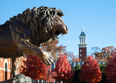 Rex with clocktower in background