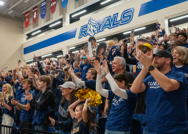 Cheering crowd at basketball game