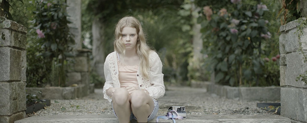 Book cover of Rosalie Gets a Dog