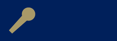 Microphone icon