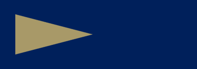 Pennant icon